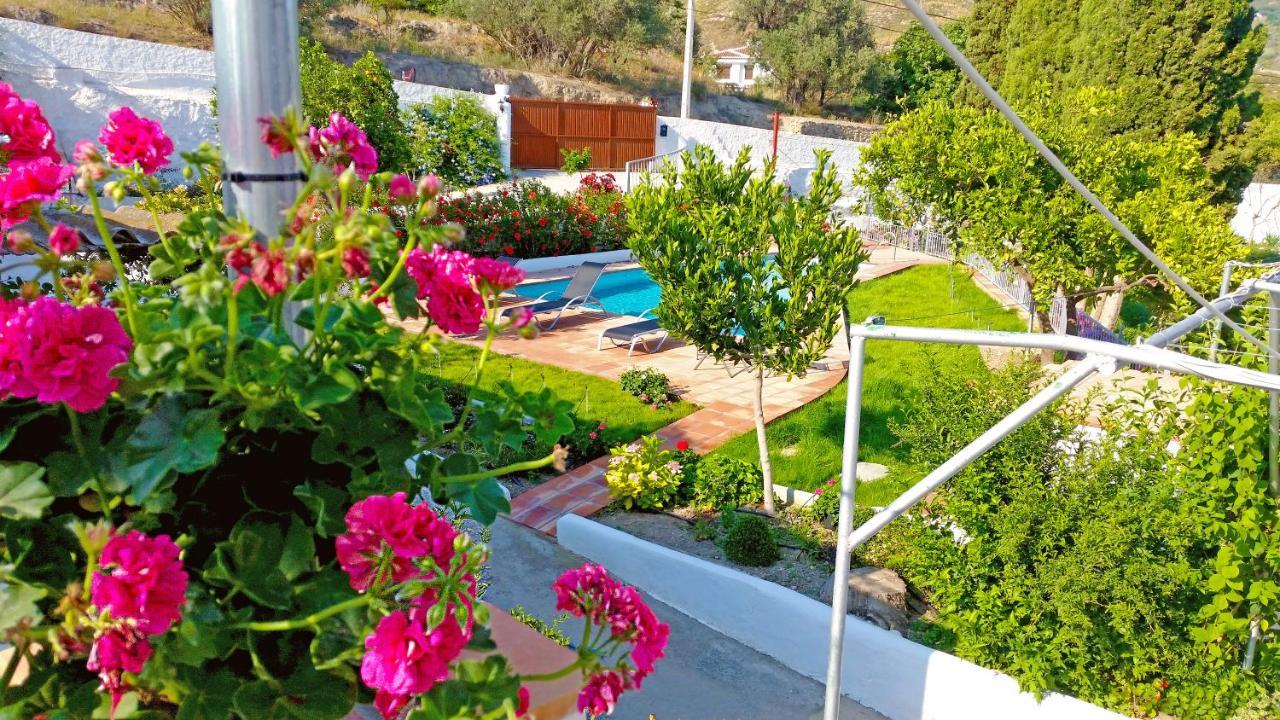 Villa Adelaida 奥尔希瓦 外观 照片
